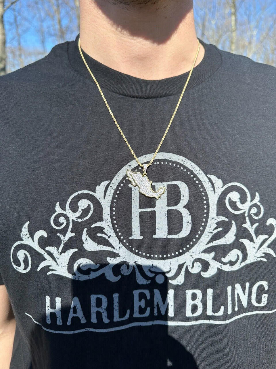 HarlemBling MOISSANITE Real 925 Silver / Gold Mexico Map Shape Flag Necklace Pendant Iced