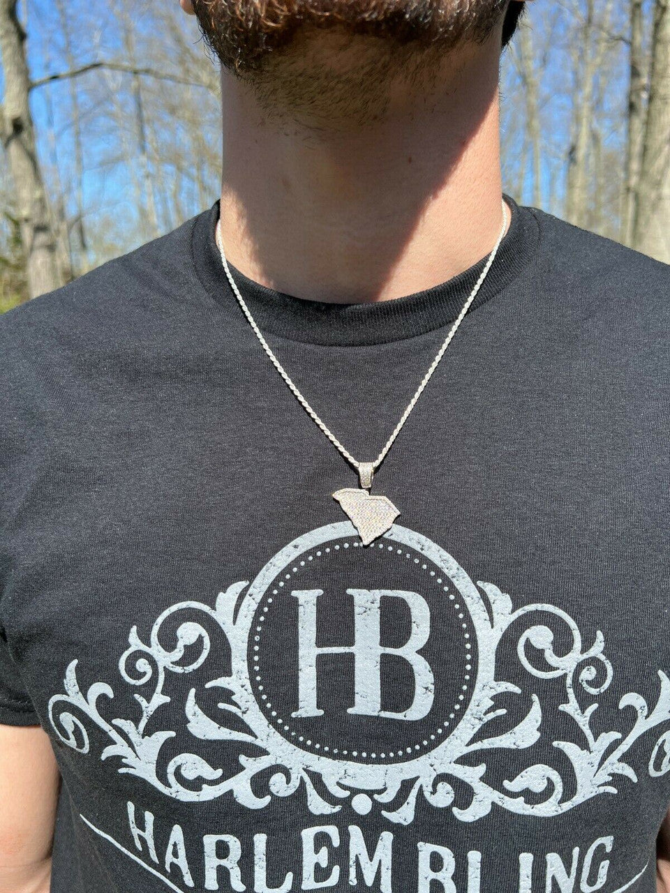 Hip Hop Real 925 Silver Hip Hop South Carolina Shape Pendant Iced Diamond Necklace Gold