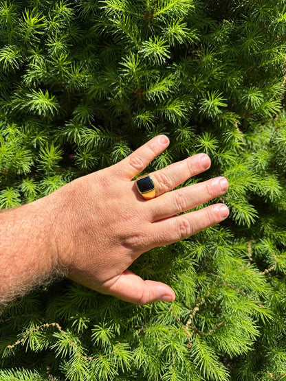 Midnight Don Ring - 14k Gold Vermeil 925 Silver - Genuine Black Onyx Stone