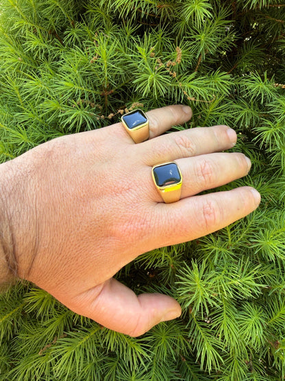 Midnight Don Ring - 14k Gold Vermeil 925 Silver - Genuine Black Onyx Stone