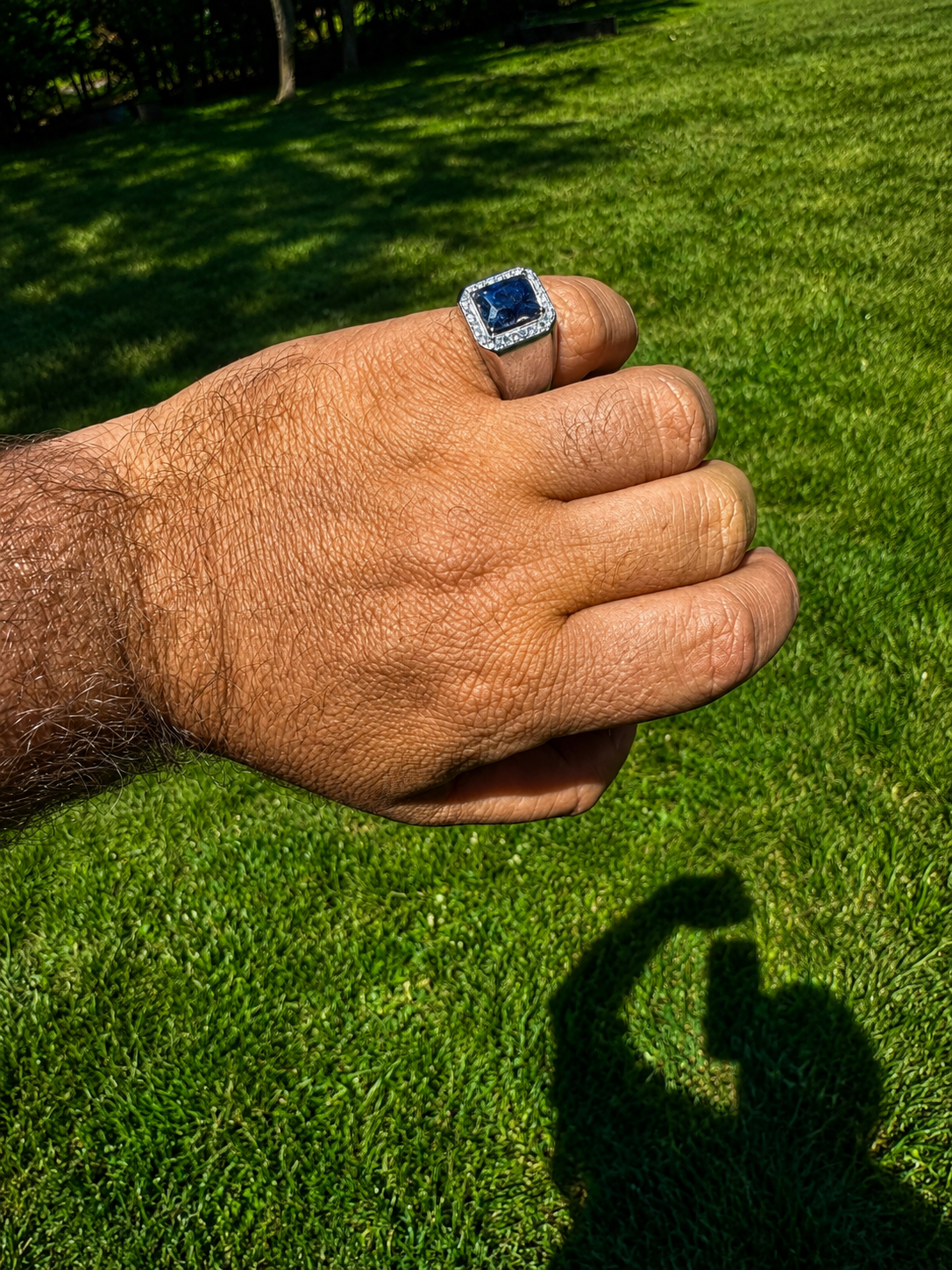 MOISSANITE Cardinal Crown Ring - 925 Silver - Genuine Blue Sapphire Stone