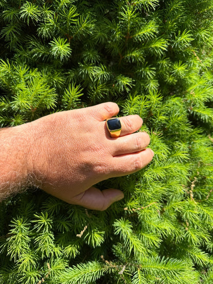 Midnight Don Ring - 14k Gold Vermeil 925 Silver - Genuine Black Onyx Stone