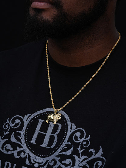 Rasta Lion Of Judah African Leo Pendant - 14k Gold Vermeil Or 925 Silver - CZ Stones - Small 1.25"