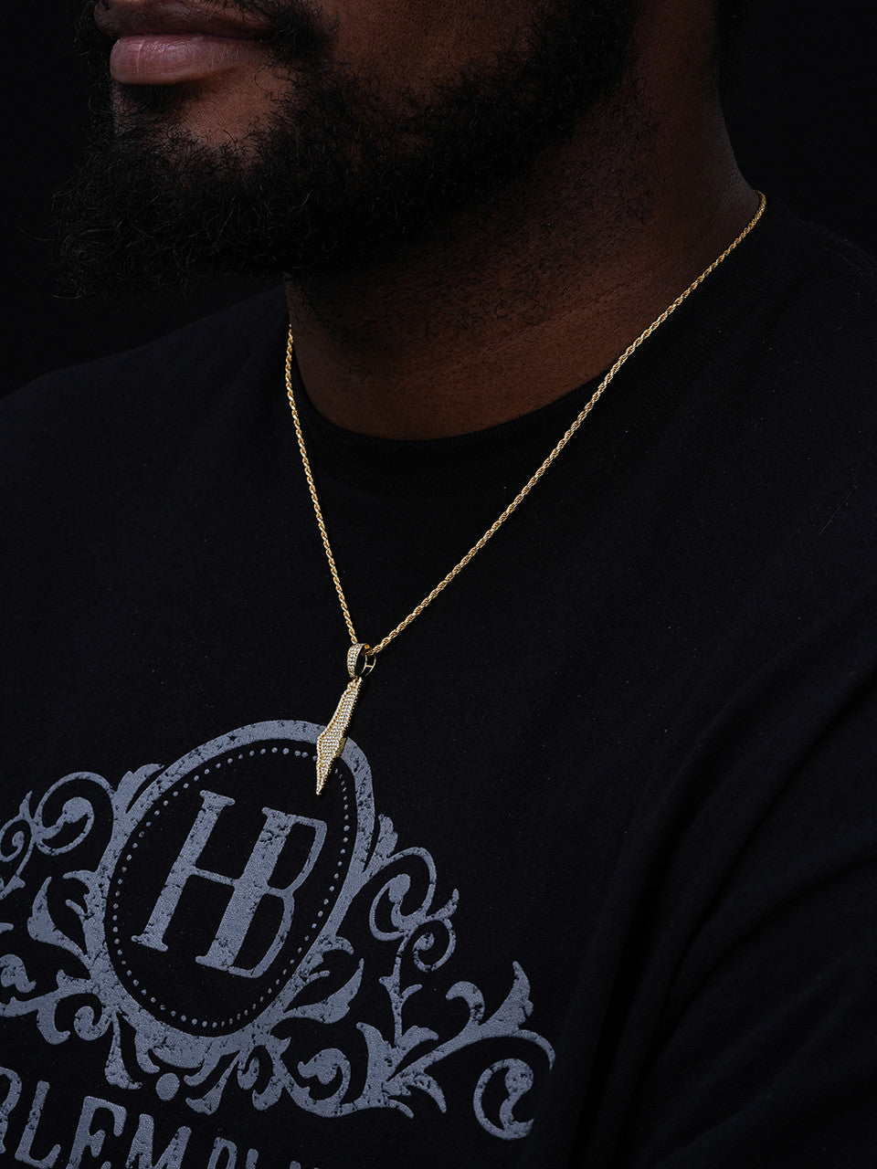 MOISSANITE Land Of Israel/Palestine Pendant - 14k Gold Vermeil Or 925 Silver - Medium 1.75"