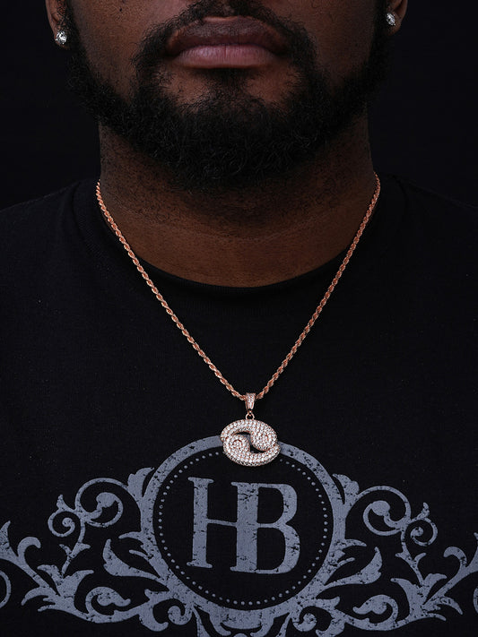 Zodiac Astrology Sign Horoscope Iced Out Pendant - 14k Gold Vermeil Or 925 Silver -  CZ Stones - Medium 1.5"