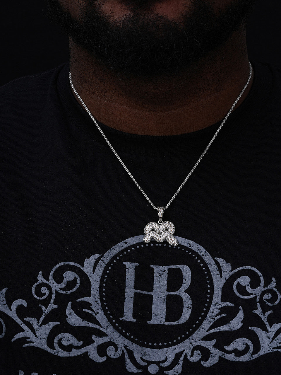 Zodiac Astrology Sign Horoscope Iced Out Pendant - 14k Gold Vermeil Or 925 Silver -  CZ Stones - Medium 1.5"