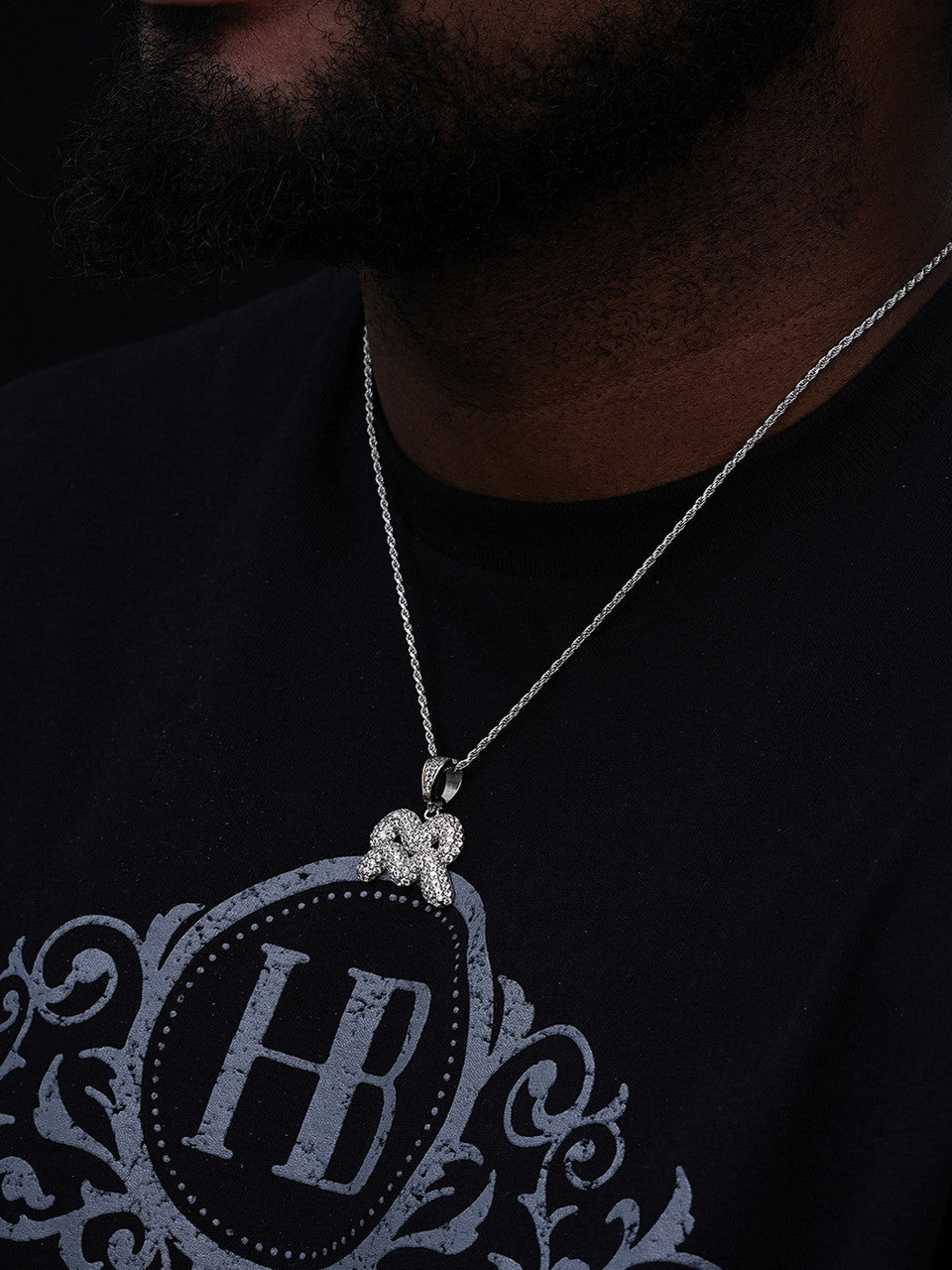 Zodiac Astrology Sign Horoscope Iced Out Pendant - 14k Gold Vermeil Or 925 Silver -  CZ Stones - Medium 1.5"