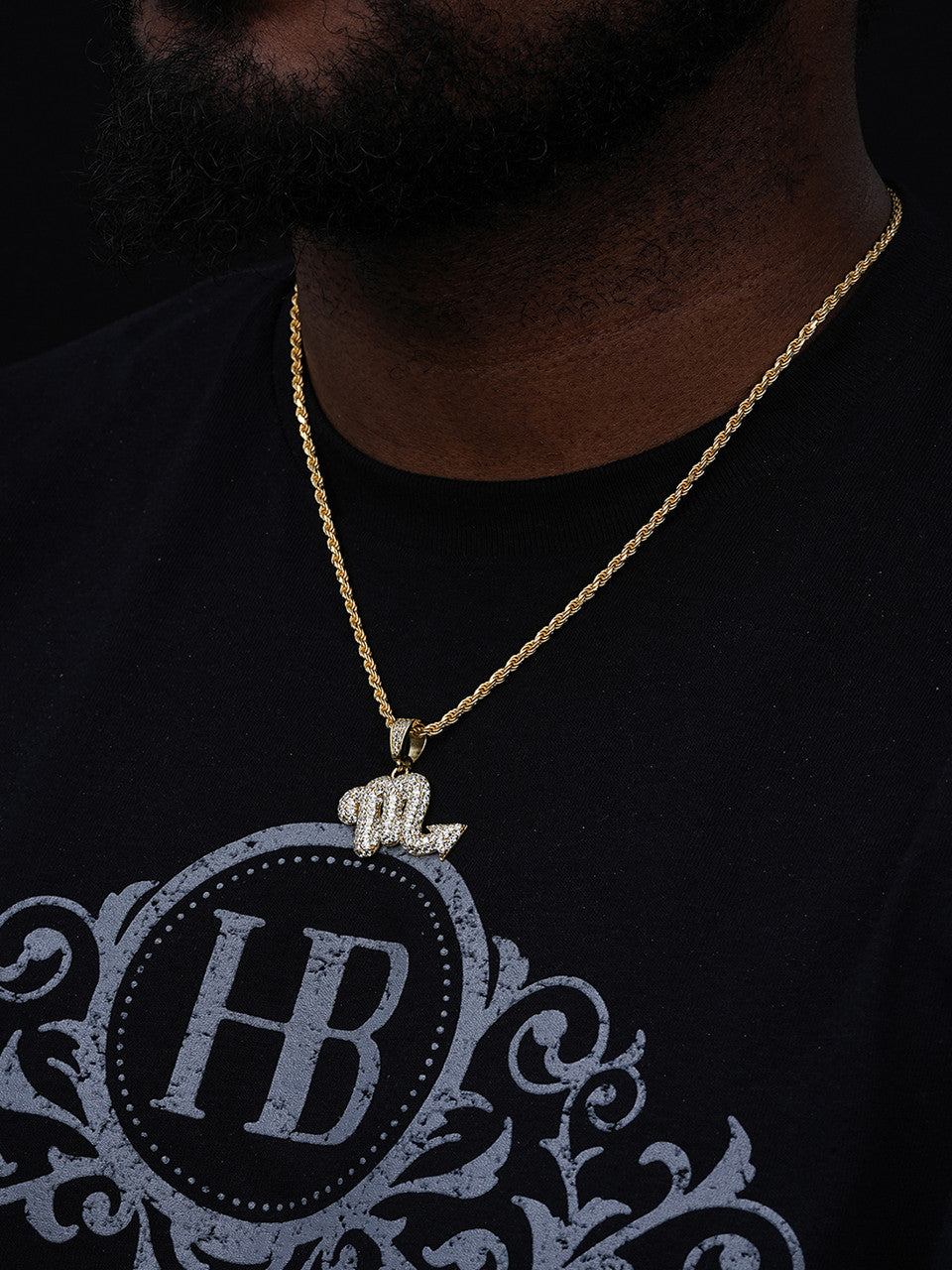 Zodiac Astrology Sign Horoscope Iced Out Pendant - 14k Gold Vermeil Or 925 Silver -  CZ Stones - Medium 1.5"