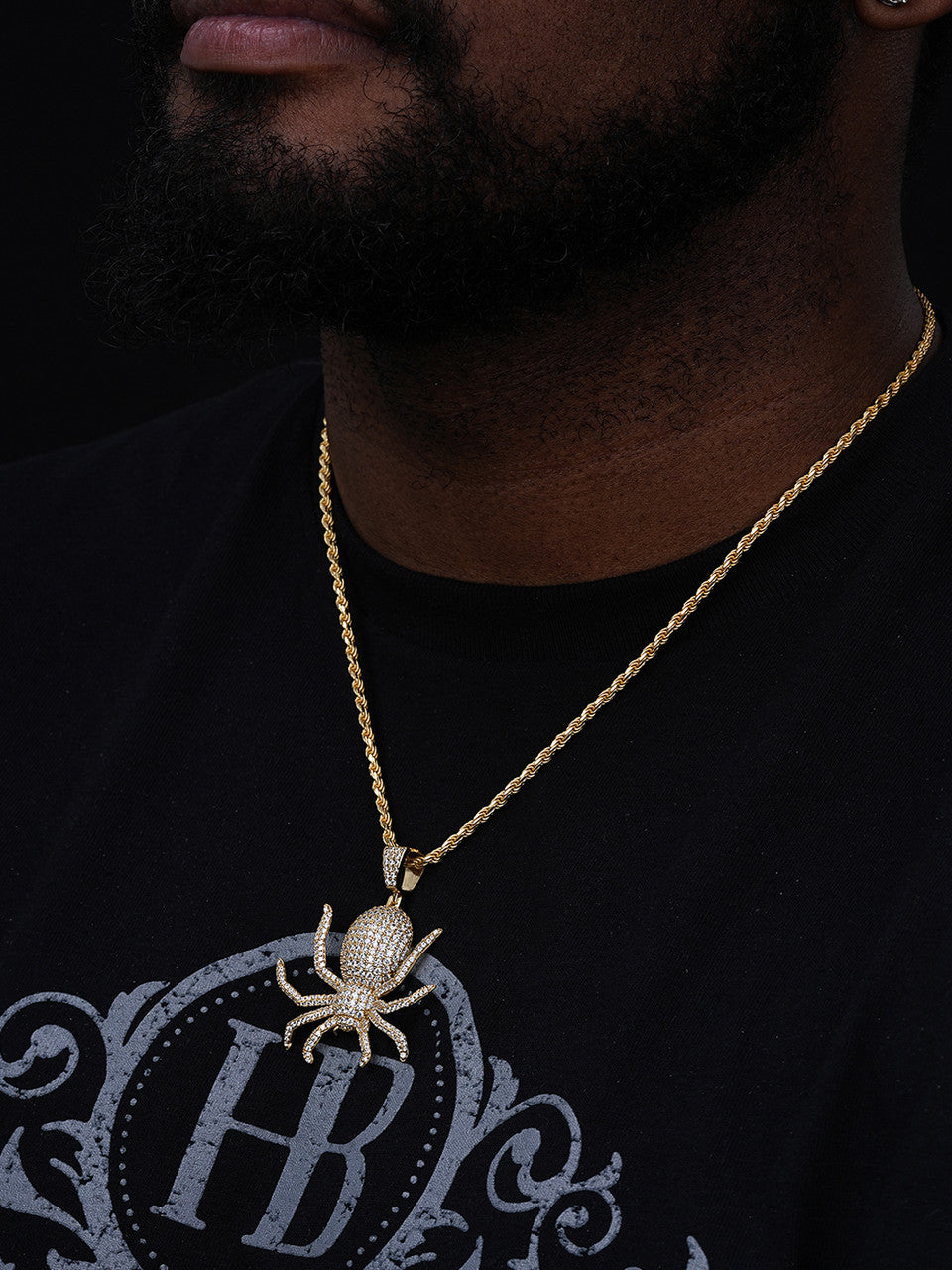 Spider Iced Out Pendant - 14k Gold Vermeil Or 925 Silver - CZ Stones - Small 1.5"