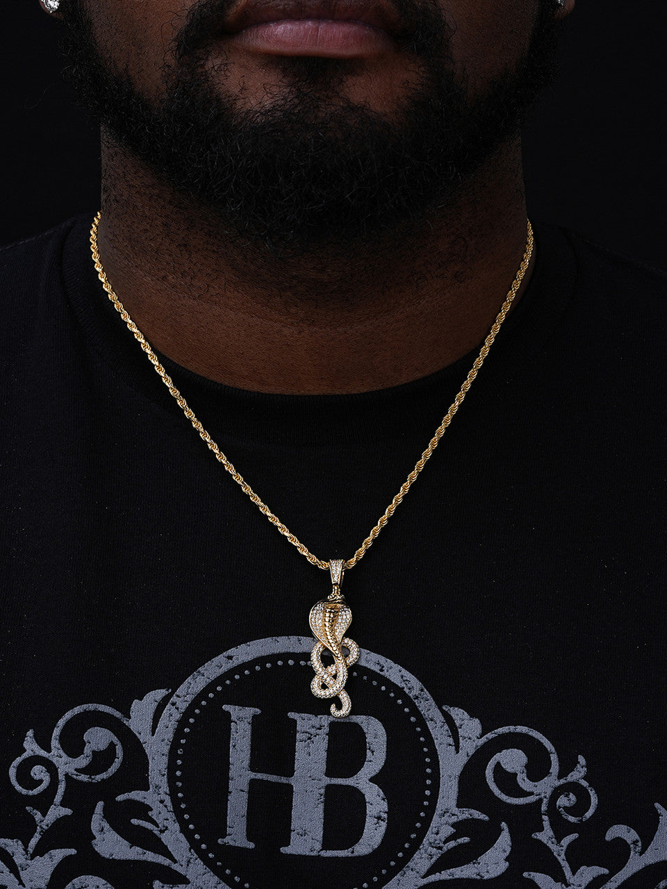 Snake King Cobra Pendant - 14k Gold Vermeil Or 925 Silver - CZ Stones - Medium 2.25"