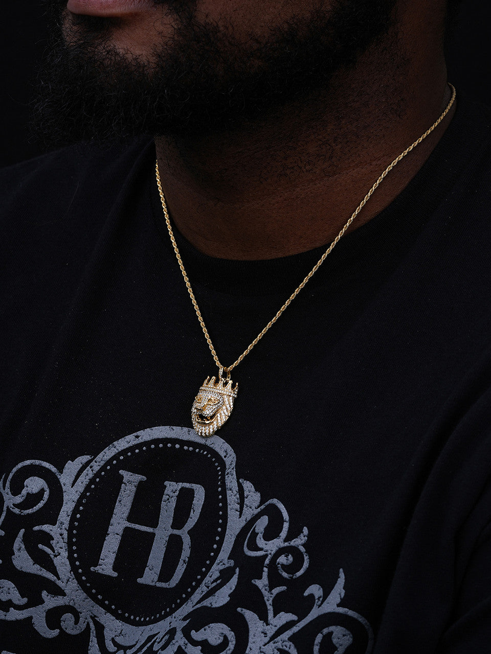 Lion W. Crown African Rasta Pendant - 14k Gold Vermeil Or 925 Silver - CZ Stones - Small 1.5"