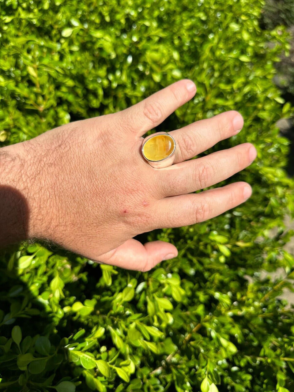 HarlemBling Large Genuine Baltic Amber Stone Mens Real Solid 925 Sterling Silver Signet Ring