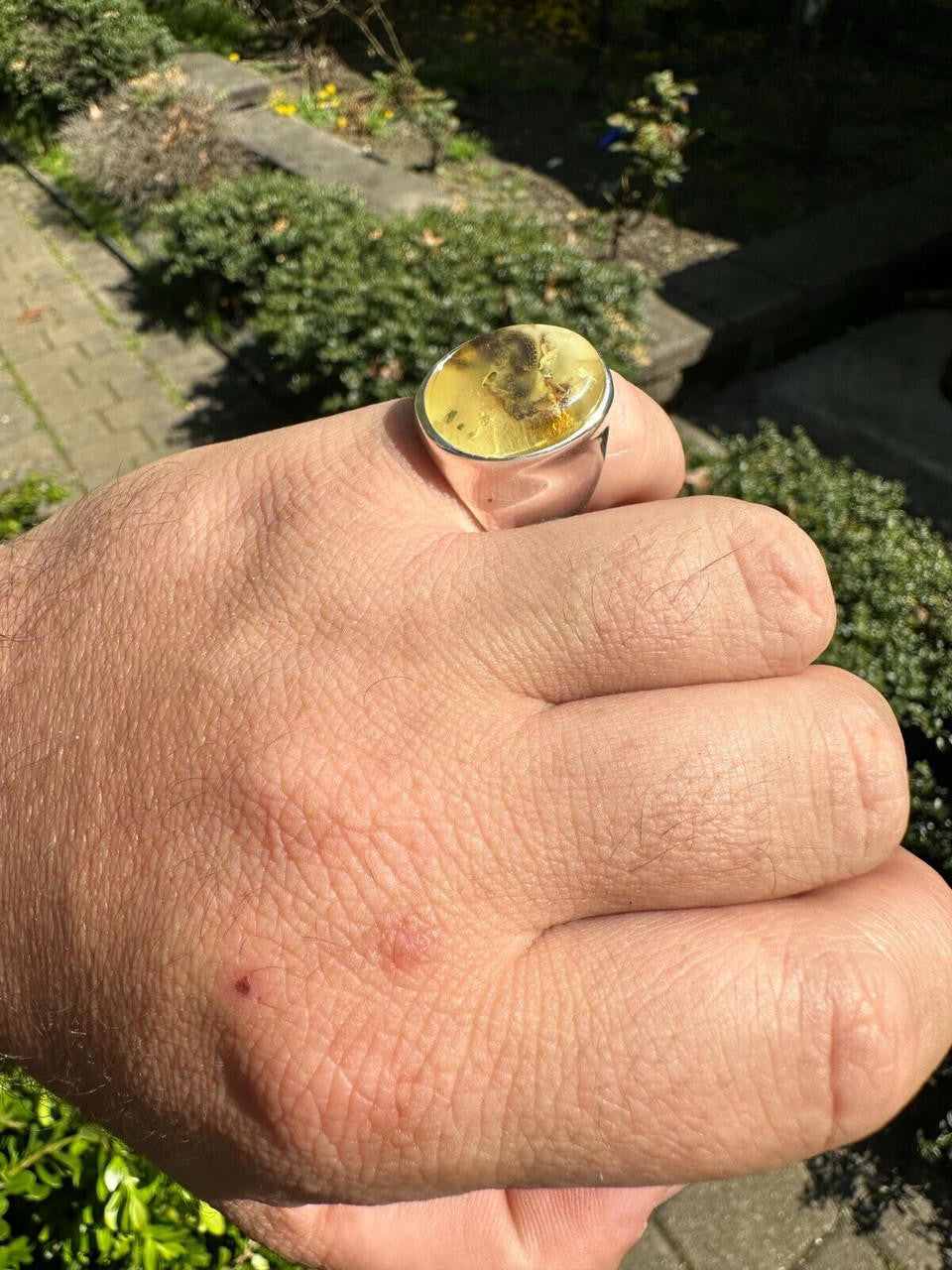 HarlemBling Large Genuine Baltic Amber Stone Mens Real Solid 925 Sterling Silver Signet Ring