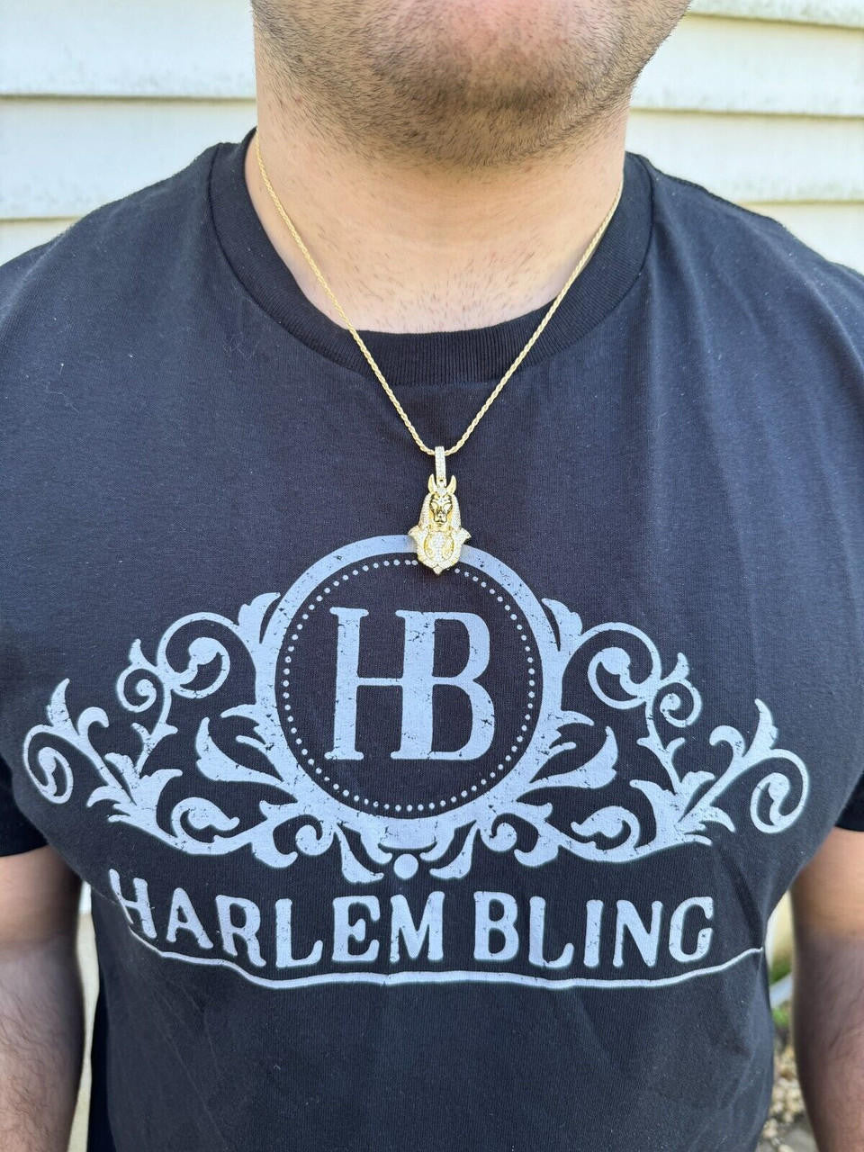 HarlemBling MOISSANITE Anubis Pendant Real 925 Silver / Gold Iced Hip Hop Egyptian Necklace