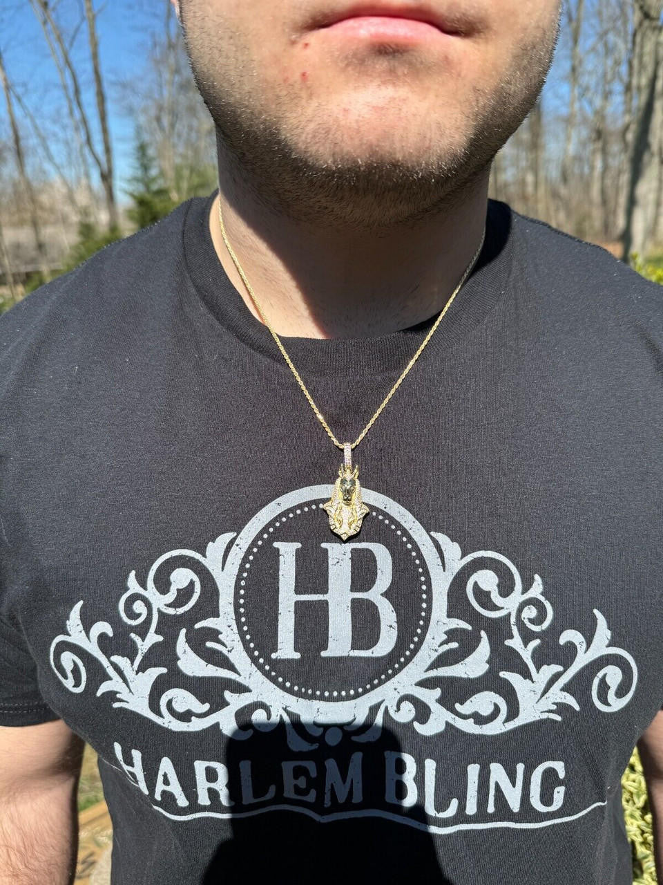 HarlemBling MOISSANITE Anubis Pendant Real 925 Silver / Gold Iced Hip Hop Egyptian Necklace