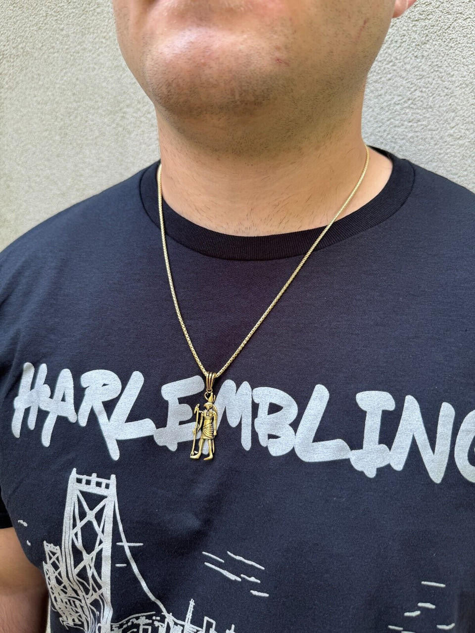 HarlemBling Solid 925 Silver / Gold Oxidized Ancient Egyptian God Horus Pendant Necklace