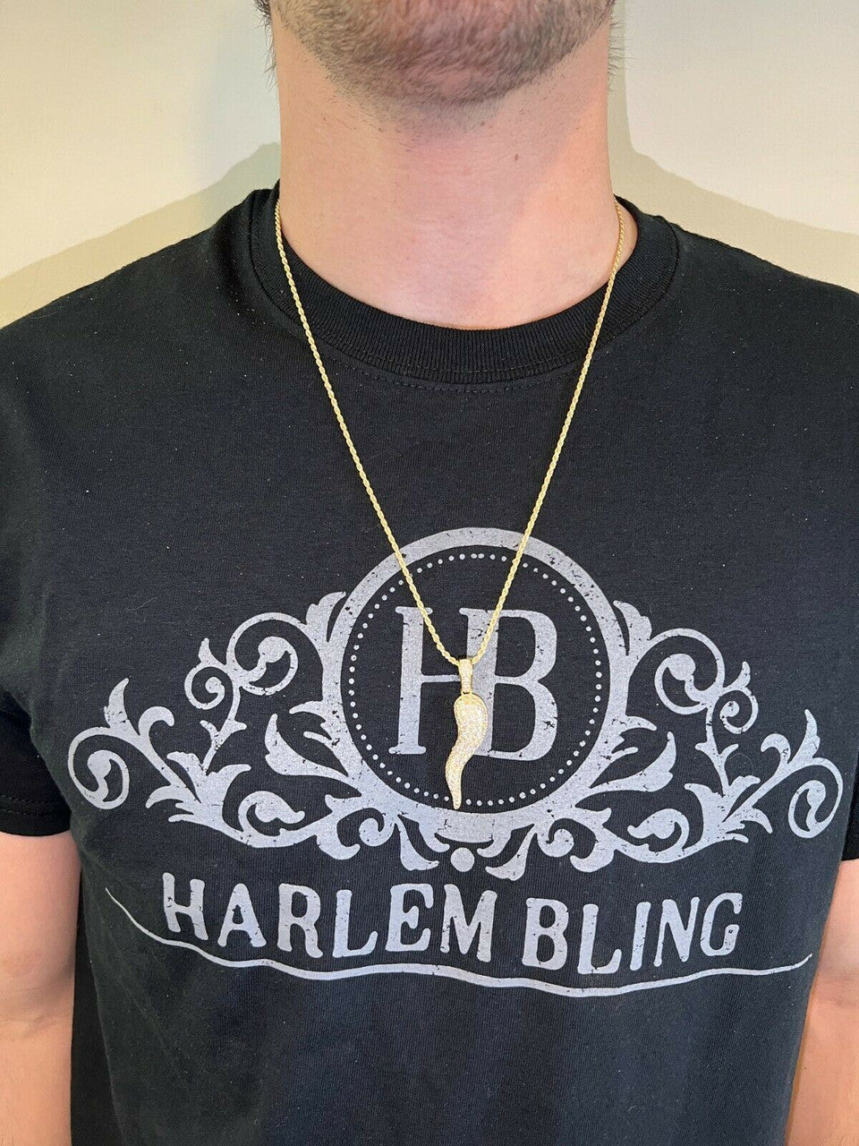 Hip Hop MOISSANITE Iced Hip Hop Cornicello Italian Horn Pepper Pendant Pass Diamond Test