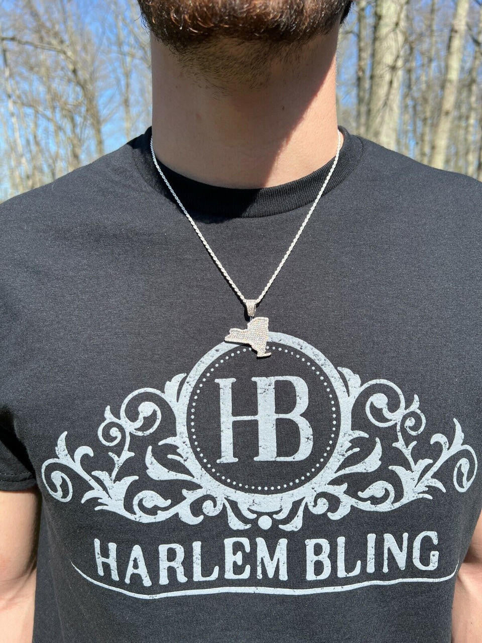 Hip Hop MOISSANITE Real 925 Silver / 14k Gold Hip Hop New York State Shape Pendant Iced