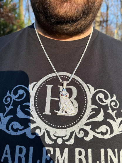 Iced MOISSANITE 925 Silver Gold Plated Hip Hop Owl Pendant Rapper OVO Necklace