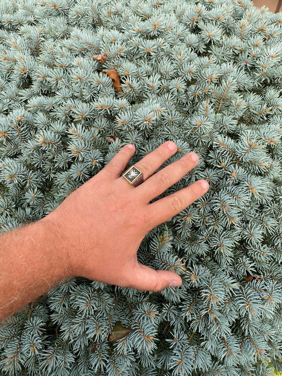 Italiano Silver, Inc Mens 14k Gold and Real Solid 925 Sterling Silver Albanian Double Headed Eagle Ring
