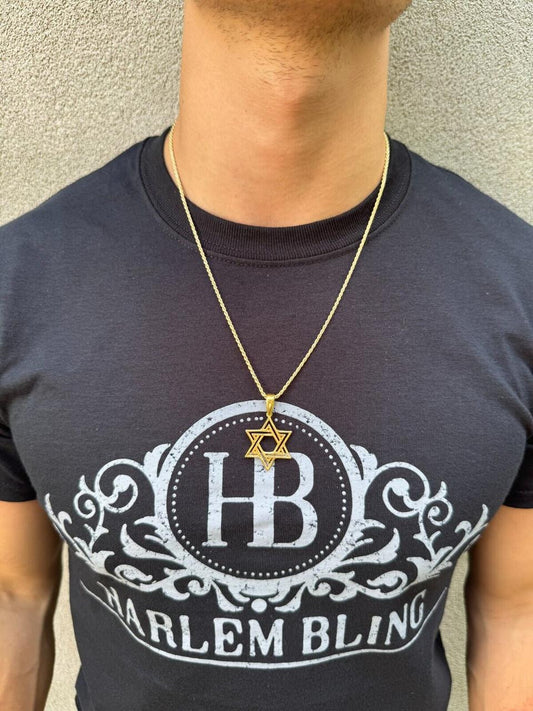 Silver Star Of David Jewish Star 925 Silver / 14k Gold Vermeil 1" Pendant Necklace